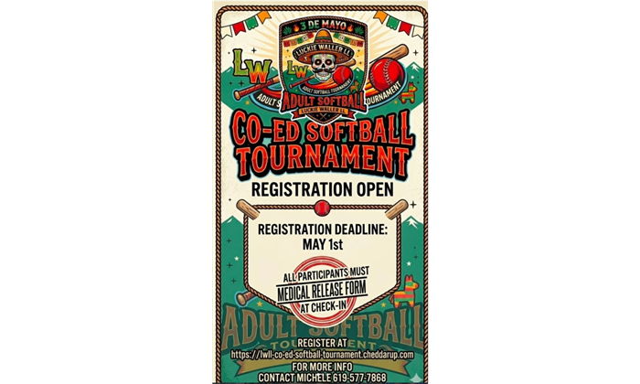 Co-Ed Adult Softball Competition