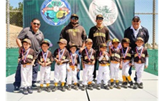 Baseball Schedules