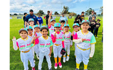Baseball Teams